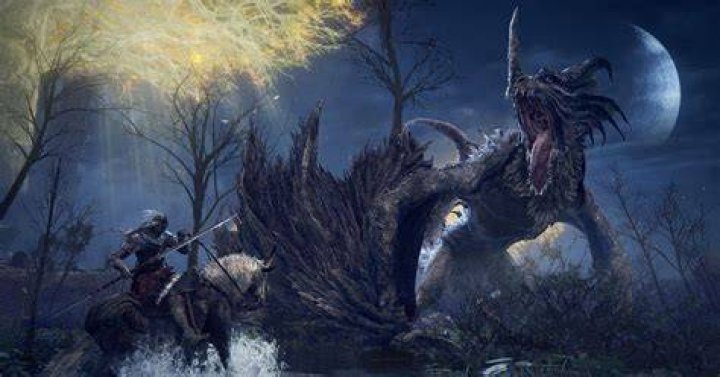 An Elden Ring Player Gives Vigor Test And Opponents Gladly Take It