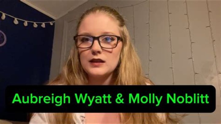 Aubreigh Wyatt Arrest: A Comprehensive Overview