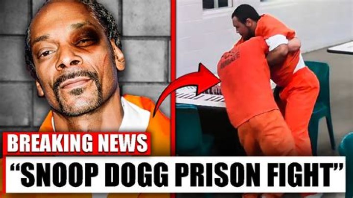 Does Snoop Dogg Have A Criminal Record?
