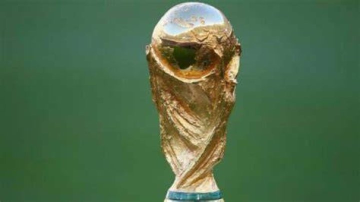 Explained Who Can Touch The World Cup Trophy And FIFA Rules