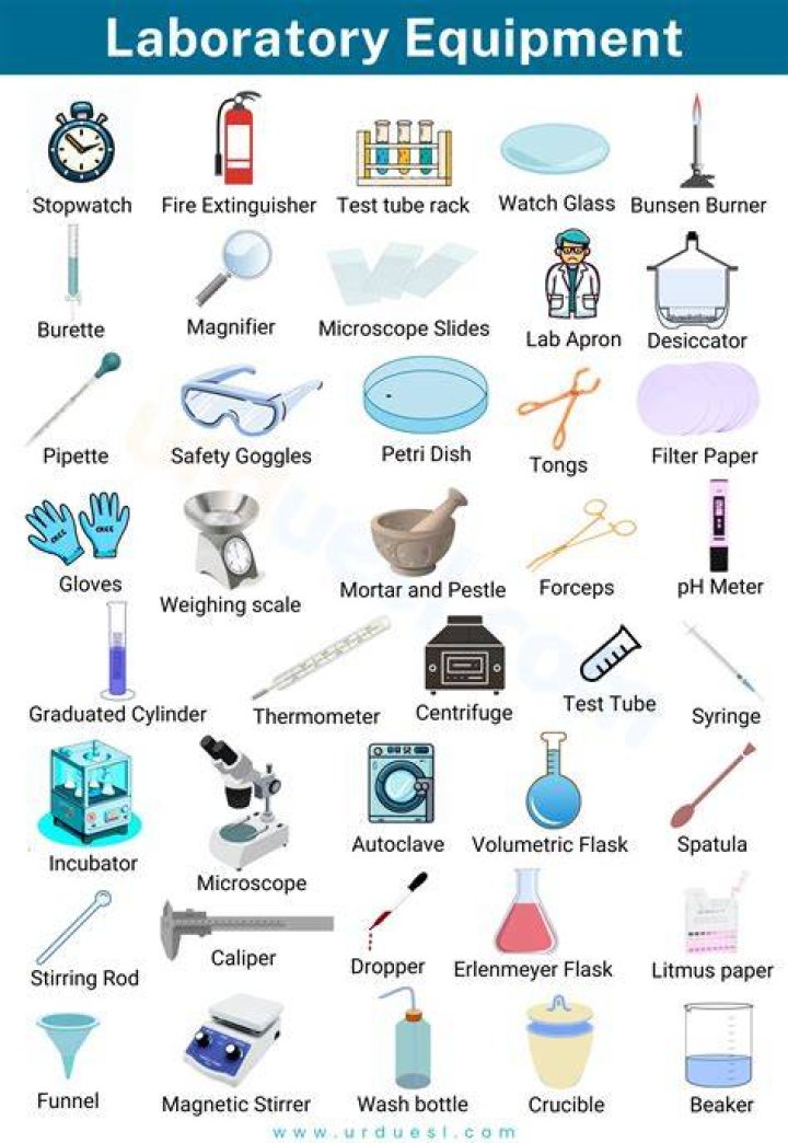 Exploring Essential Laboratory Equipment: A Comprehensive List With Pictures