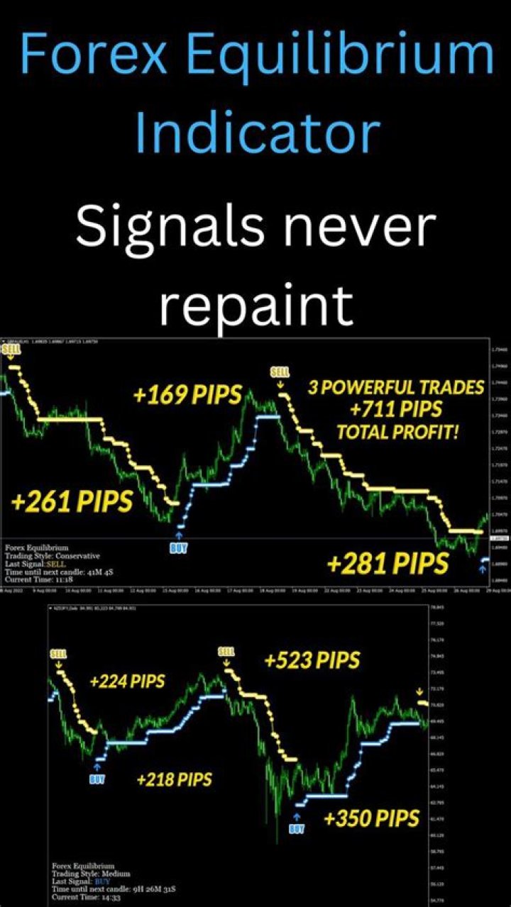 Forex Equilibrium Indicator Review - Is Forex Equilibrium Indicator Legit?