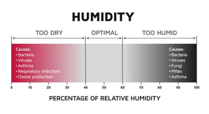 How does humidity affect your laptop and what to do about it?