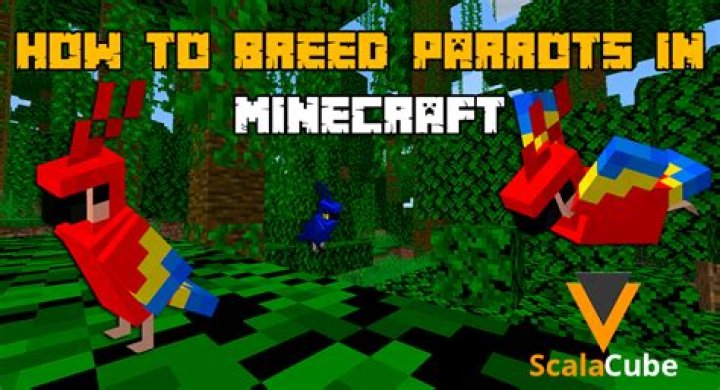 How to breed Parrots in Minecraft?