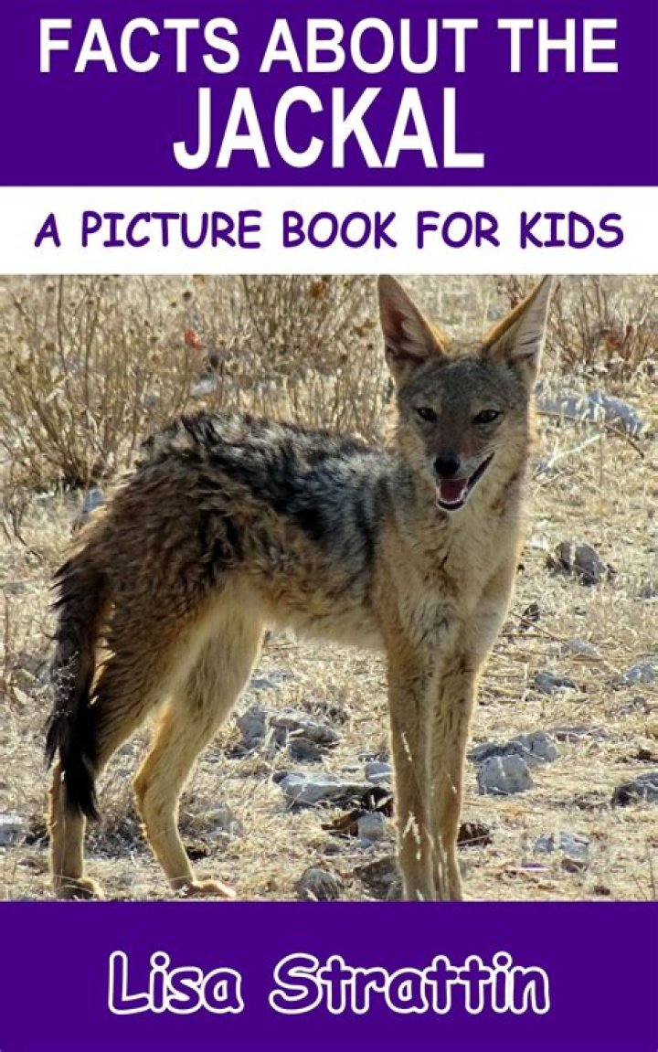 (Read) Books Jackal Books Full Access