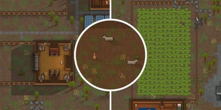 RimWorld: Animal Feeding Guide