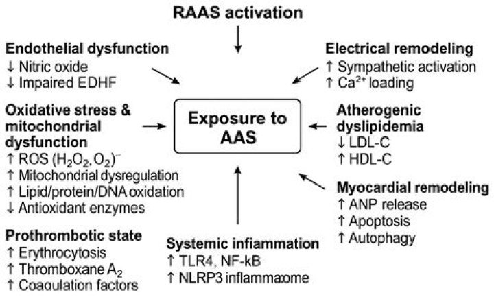Steroids Rock: Understanding The Impact And Implications