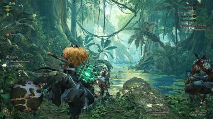 The Case for Monster Hunter World 2