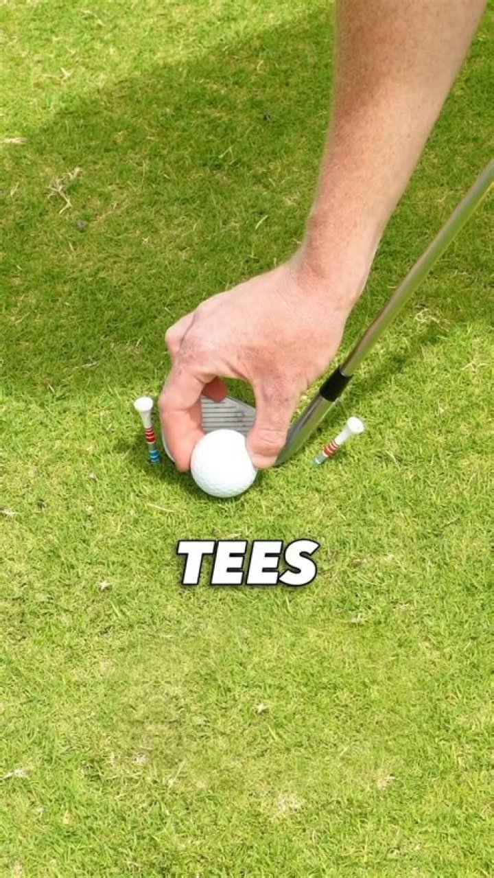 Two tee pegs tied together.