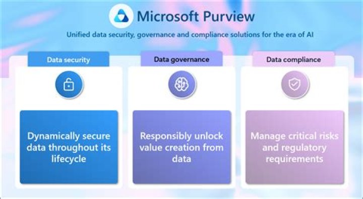 Understanding Microsoft Purview: Your Comprehensive Guide